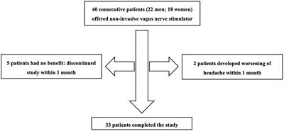 An open-label observational study and meta-analysis of non-invasive vagus nerve stimulation in medically refractory chronic cluster headache